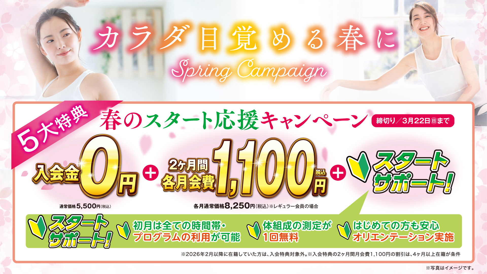 成人：2026年春の入会キャンペーン開催中！