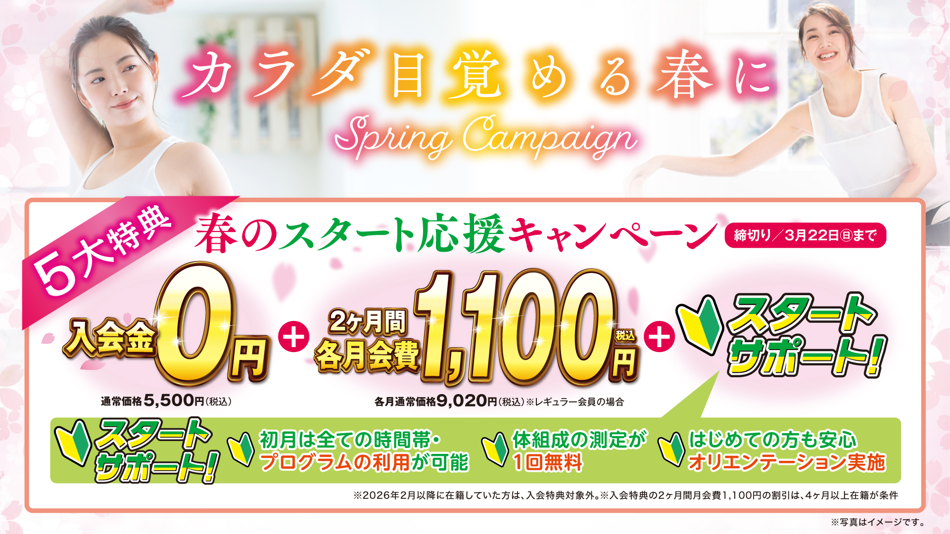 成人：2026年春の入会キャンペーン開催中！